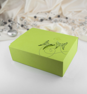 Krabička -  zelená   motýl  10 ks