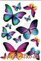 Jedlý papír motýl  8