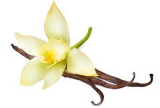 Vanilkový lusk planifolian madagaskar bourbon  1 ks